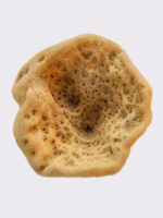 Elephant ear sponge, big, seasponges.eu